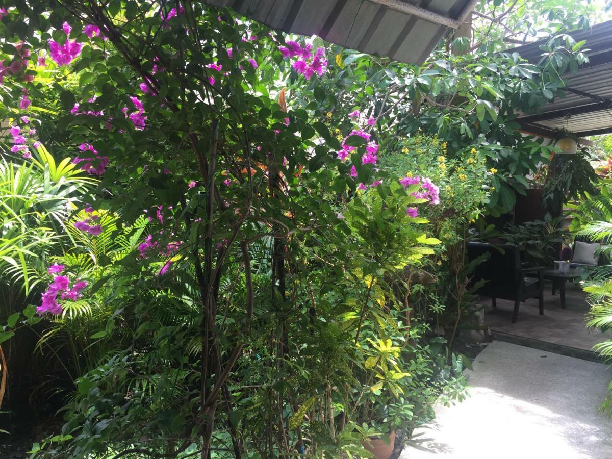 Lemon House Samui Hotel Мае Нам Екстериор снимка