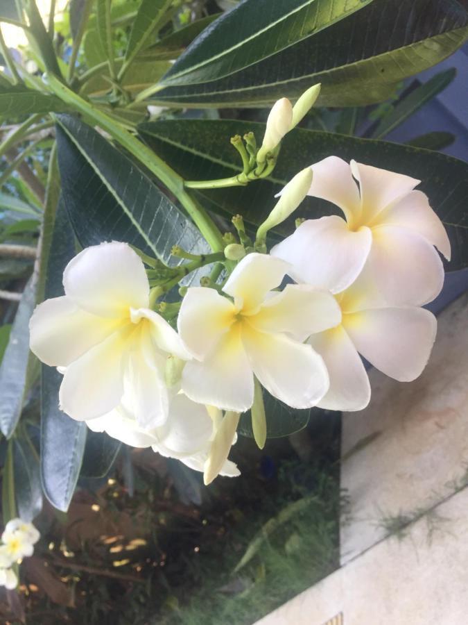 Lemon House Samui Hotel Мае Нам Екстериор снимка